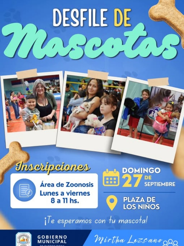 miscom-composicion-h-1789731357