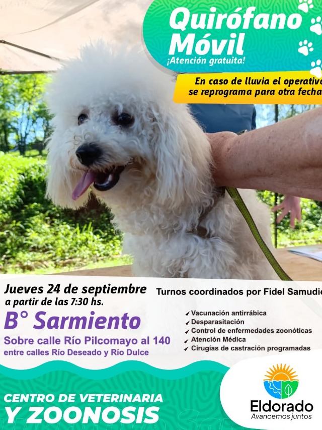 miscom-composicion-h-1790076499