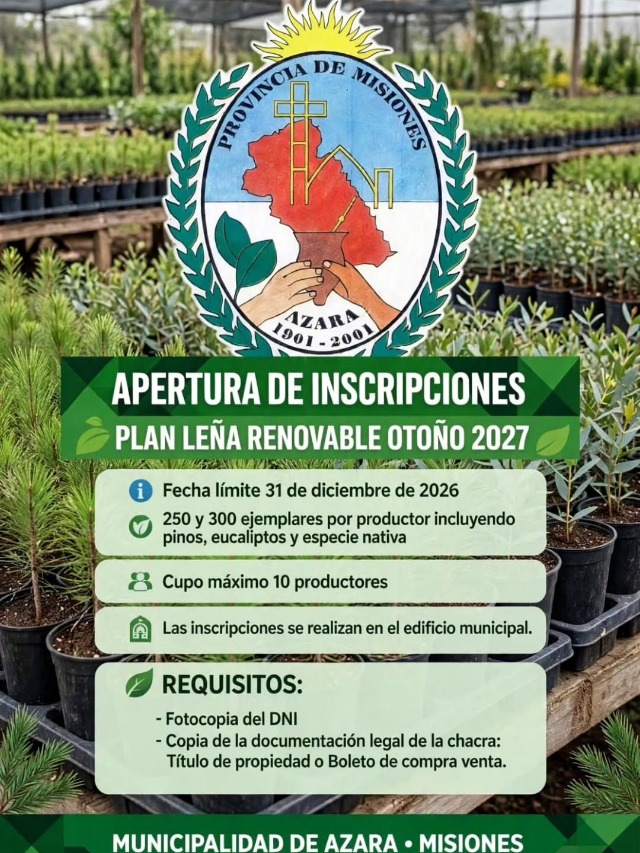 miscom-composicion-h-1792718402