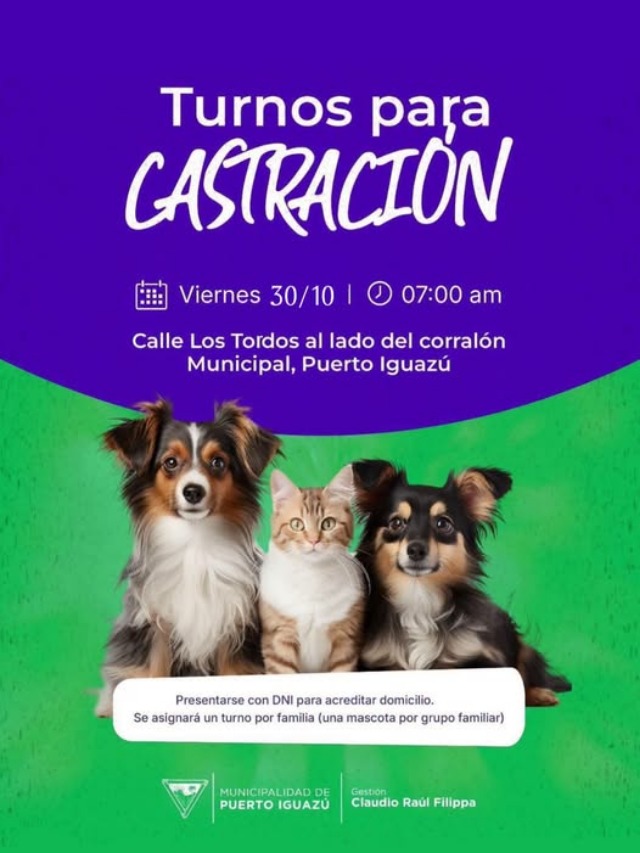 miscom-composicion-h-1793025367